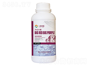 Һ�w��-��t����-һ�r(n��ng)����