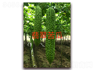 �����-��ϷN��-ӳɽ��