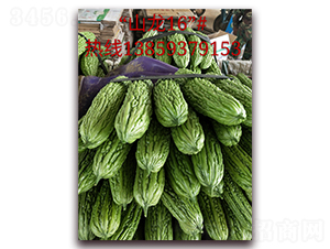 ɽ��16̖-��ϷN��-ӳɽ��