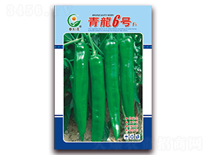 ����6̖(h��o)-�ཷ�N��-ӳɽ��