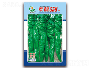 ̩��558-�ཷ�N��-ӳɽ��