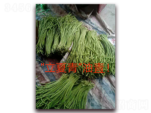 ������-�����N��-ӳɽ��