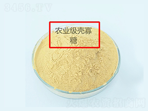 �r(n��ng)�I(y��)��������-����