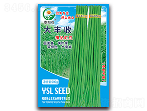 ���S��-�����N��-ӳɽ��