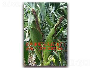 ̫�(y��ng)��360-ˮ�����׷N��-ӳɽ��