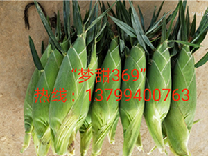 ��(m��ng)��369-ˮ�����׷N��-ӳɽ��