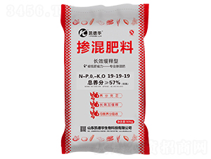 �LЧ����͓������19-19-19-�P���A