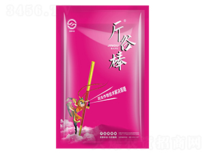 ���b�������＼�g(sh��)��Q����-��Ȱ�-ʥ���r(n��ng)�I(y��)