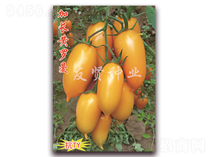 ���L�S�_��-���͹����ѷN��-���t�N�I(y��)