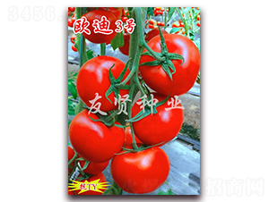 �W��3̖-�tɫ���ѷN��-���t�N�I(y��)