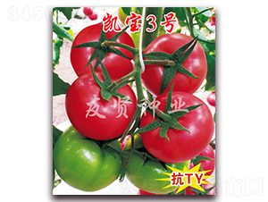 �P��3̖-��ɫ���ѷN��-���t�N�I(y��)