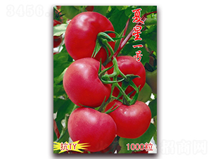 ����һ̖-��ɫ���ѷN��-���t�N�I(y��)