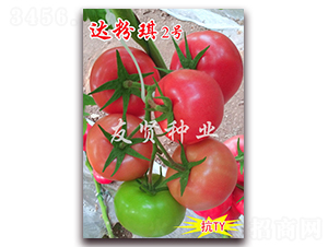 �_����2̖-��ɫ���ѷN��-���t�N�I(y��)