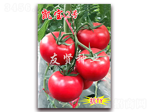 �P��2̖-��ɫ���ѷN��-���t�N�I(y��)