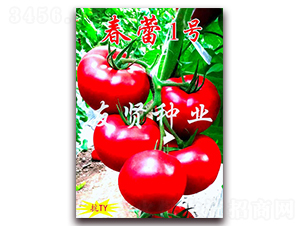 ����1̖-��ɫ���ѷN��-���t�N�I(y��)