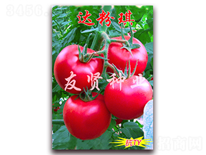 �_����-��ɫ���ѷN��-���t�N�I(y��)