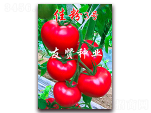 �ѷ�3̖-��ɫ���ѷN��-���t�N�I(y��)