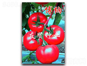 ���{-��ɫ���ѷN��-���t�N�I(y��)