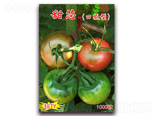 ��о-�tɫ����С���ѷN��-���t�N�I(y��)