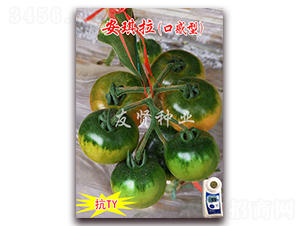 ������-��TY��������С���ѷN��-���t�N�I(y��)