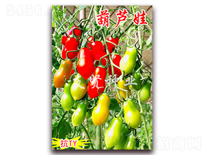 ���J��-��TY��������С���ѷN��-���t�N�I(y��)