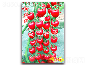 ������-��TY��������С���ѷN��-���t�N�I(y��)