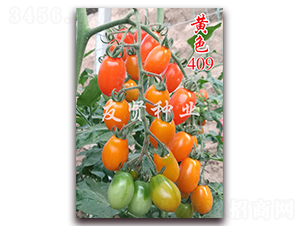 �Sɫ409-��TY��������С���ѷN��-���t�N�I(y��)