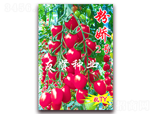 �ۋ�2̖-��TY��������С���ѷN��-���t�N�I(y��)