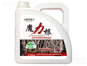 �߻��Ժ�������̼���-ħ����-�ն���