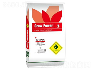 ��������-�ն���