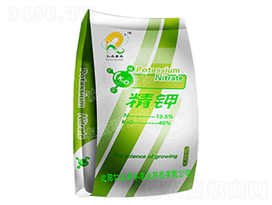 ��⛷�-�ʺ̶��S