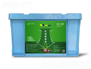 �~�Ƹ�����-�°��~��