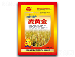 ���S��-��@�ʘI(y��)