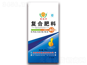 ��(f��)�Ϸ���16-16-8-ʩ���S-��ͤ