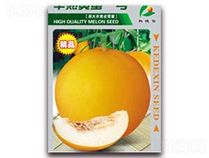 �����S��һ̖-��ϷN��-�Ƶ���