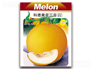 �Ƶ��S����̖-��ϷN��-�Ƶ���