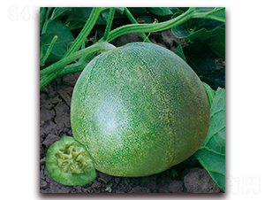 �G��ʯ-��ϷN��-�Ƶ���