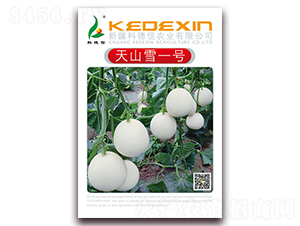 ��ɽѩһ̖-��ϷN��-�Ƶ���