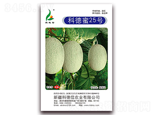 �Ƶ���25̖-��ϷN��-�Ƶ���