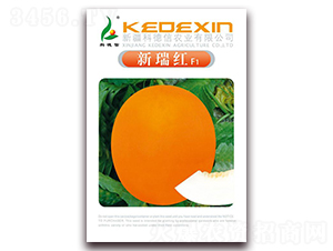 ����tF1-��ϷN��-�Ƶ���