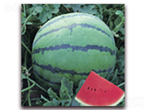 ���o(j��)��-���ϷN��-�Ƶ���