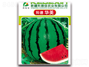 �Ƶ��A��-���ϷN��-�Ƶ���