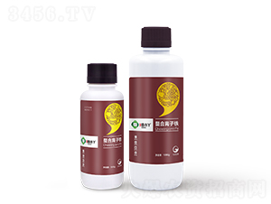 �����x���F-��СѾ-�_������