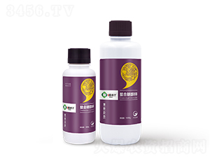 �����Ǵ��\-��СѾ-�_������