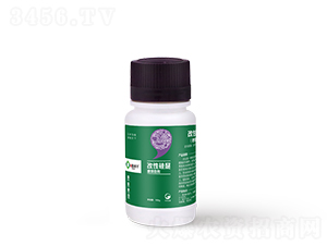 ���Թ���-��СѾ-�_������