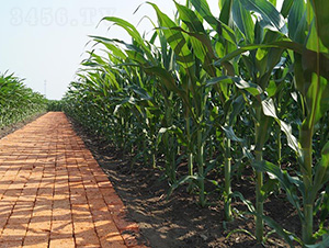 ƽ��108-ƽ���N�I(y��)