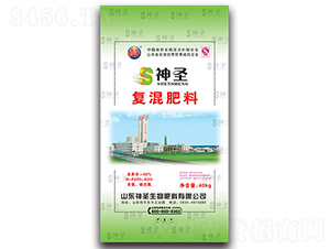 ��ʥ��(f��)���-��ʥ����