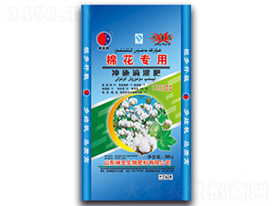 �޻����Û_ʩ�ι��-��ʥ����