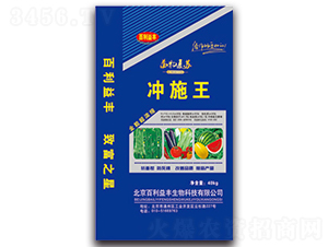 �_ʩ��-��ʥ����