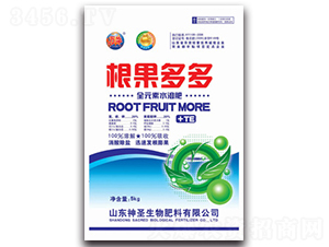 �������-��ʥ����